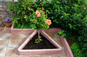 A garden outside Avlaki Getaway Villa