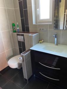 een badkamer met een wit toilet en een wastafel bij Appartement 14 couchages vallée du Grésivaudan in La Buissière