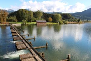a lake with a dock in the middle of it at Pan Haus Bad Goisern in Bad Goisern