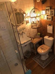 a bathroom with a shower and a toilet and a sink at Chez Sven - Studio 'Le Petit' in Lohn-Ammannsegg