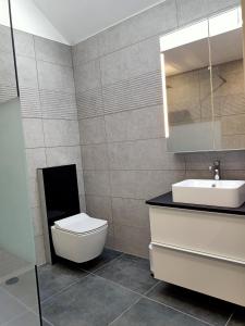 een badkamer met een toilet en een wastafel bij Les Gites d'Olloy - Le Beauséjour in Olloy-sur-Viroin