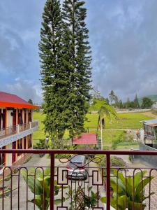 a view of a tree from a balcony at Sapo Karo Rest House in Berastagi +43 photos