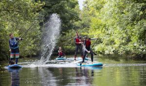 Un groupe de personnes sur des planches de paddle dans l'eau dans l'établissement Lakeside Holiday Homes - Type B by Trident Holiday Homes, à Killaloe
