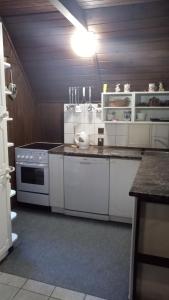 una cocina con electrodomésticos blancos y una luz en el techo en Chalupa u Šlikovky, en Jáchymov