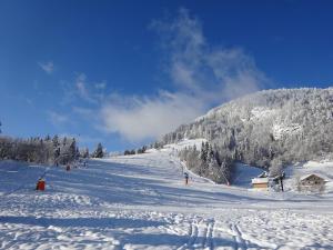 Les Sapins v zimě