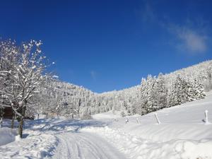 Les Sapins v zimě