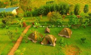 eine Gruppe von Zelten im Gras auf einem Feld in der Unterkunft Muga Eco Village in Ntungamo