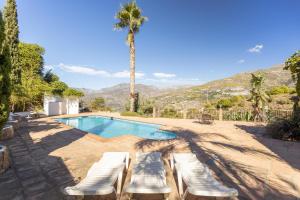 ein Swimmingpool mit Liegestühlen und einer Palme in der Unterkunft Casa Cristina in Jete