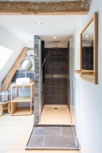 a small bathroom with a shower with black tiles at La maison de mon enfance in Delettes