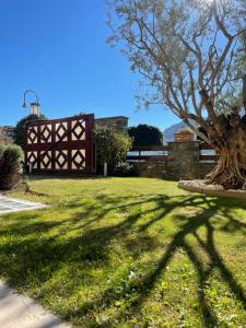 een schaduw van een boom op een grasveld bij Paradise Hotel & Wellness in Saint Vincent