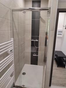 a shower with a glass door in a bathroom at *** les loges de la friche DMC *** in Mulhouse