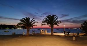 een groep palmbomen voor een waterlichaam bij SunsetCroatia in Novalja