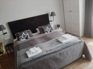 Posteľ alebo postele v izbe v ubytovaní Apartamenty Koci Ogon