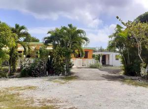a house with palm trees in front of a driveway at Maison charmante à Sainte-Anne in Sainte-Anne