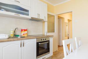 Köök või kööginurk majutusasutuses Apartman Bogojevic