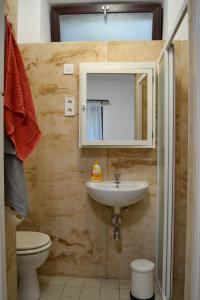 a bathroom with a sink and a toilet and a mirror at Irma- forrás Vendégházak in Verőce