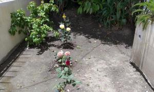 Giardino di Villa Amada a place to relax and take a rest