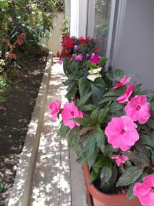 Giardino di Villa Amada a place to relax and take a rest