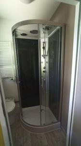 La salle de bains est pourvue d'une douche en verre et de toilettes. dans l'établissement T1 cosy climatisé indépendant sur prop privée à Sanguinet - lac, océan, Bassin d'Arcachon, Dune du Pyla, à Sanguinet