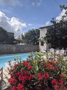 a garden with red flowers next to a swimming pool at Hostel Iguabella - RJ in Iguaba Grande
