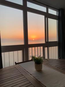 a table with a potted plant sitting in front of a window at Beautiful beach in Santa Cruz de Tenerife
