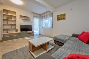 TV a/nebo společenská místnost v ubytování Lovac apartmani