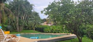 um cão sentado numa cadeira ao lado de uma piscina em Cabinas Corazon em Tamarindo mais 32 fotografias