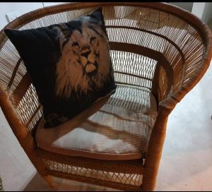 a lion pillow on a chair with a lion picture at Somkhanda Game Reserve in Pongola