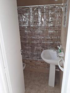 een badkamer met een wastafel en een douchegordijn bij Apart 14 de Julio in Tandil