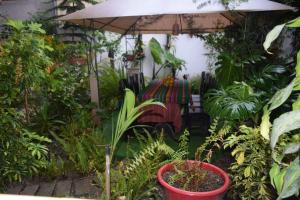 Quilla House Ecologico في ماتشو بيتشو: حديقة فيها مظلة وبعض النباتات