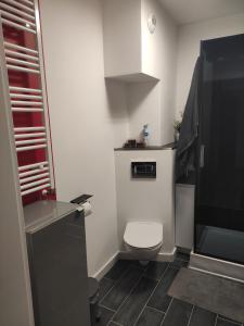 Kúpeľňa v ubytovaní Apartament u Hippków + 13 fotografií