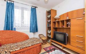 ein Schlafzimmer mit einem Bett und einem TV in einem Zimmer in der Unterkunft Apartman Svetličić in Ravna Gora