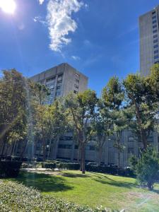 budynek z drzewami przed parkiem w obiekcie BERNABEU, luxury y luminoso apartamento entero w Madrycie