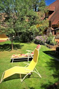 zwei Gartenstühle und ein Bett im Gras in der Unterkunft Apartment Sarah in Oberasbach