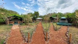 a garden with trees and tents in the background at Greenwood safari camp in Talek
