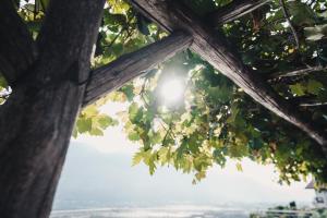 Fotografie z fotogalerie ubytování Der Ruibacher v destinaci Marlengo