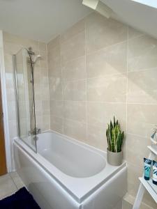 eine weiße Badewanne im Bad mit Topfpflanze in der Unterkunft Swanage Holiday Penthouse Apartment, Moments from Beach and Town, On Site Parking, Fast WIFI, Sleeps up to 6, Rated Exceptional in Swanage