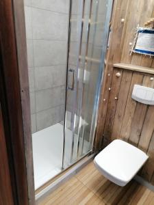a bathroom with a shower and a toilet at Dom na wodzie in Piecki
