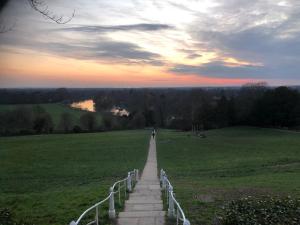 a person walking down a path in a field at By the Pagoda- cozy garden flat by Richmond & Kew Gardens in Kew Gardens