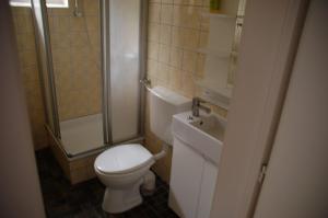 een badkamer met een toilet, een douche en een wastafel bij Haus Garten am Meer in Grömitz