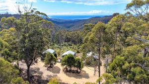 eine Luftansicht eines Hauses im Wald in der Unterkunft Lumera Eco Chalets in Saint Marys