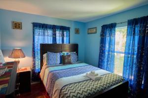 una camera da letto blu con un letto con un orsacchiotto sopra di Fabulous Hollywood Living Space a Hollywood Altre 17 foto