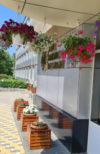 a row of potted plants on the side of a building at Hotel Turist in Yuzhno-Sakhalinsk