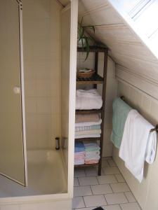 a bathroom with a shower and a bath tub with towels at Stierstall-Suite Pension Wahlenau in Wahlenau +40 photos