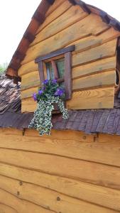 a window on the roof of a wooden house with purple flowers at Le Domaine du Châtelet in Ferdrupt