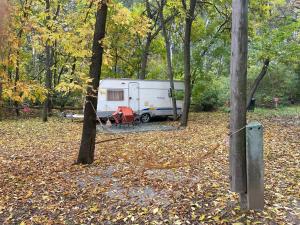 een trailer geparkeerd in een bos met bladeren op de grond bij Tisza-beach wild camping 5 in Szeged