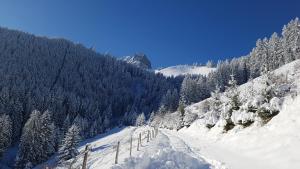 Charming chalet with panoramic view and private parking in Gruyère durante el invierno