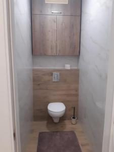 ein kleines Bad mit WC in einem Zimmer in der Unterkunft Подолье in Winnyzja