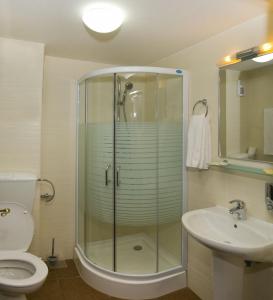 a bathroom with a shower and a toilet and a sink at Hotel ToacaBellevue in Gura Humorului