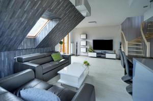 een woonkamer met een bank en een televisie bij Apartamenty EverySky - Prusa 2a-22 in Karpacz